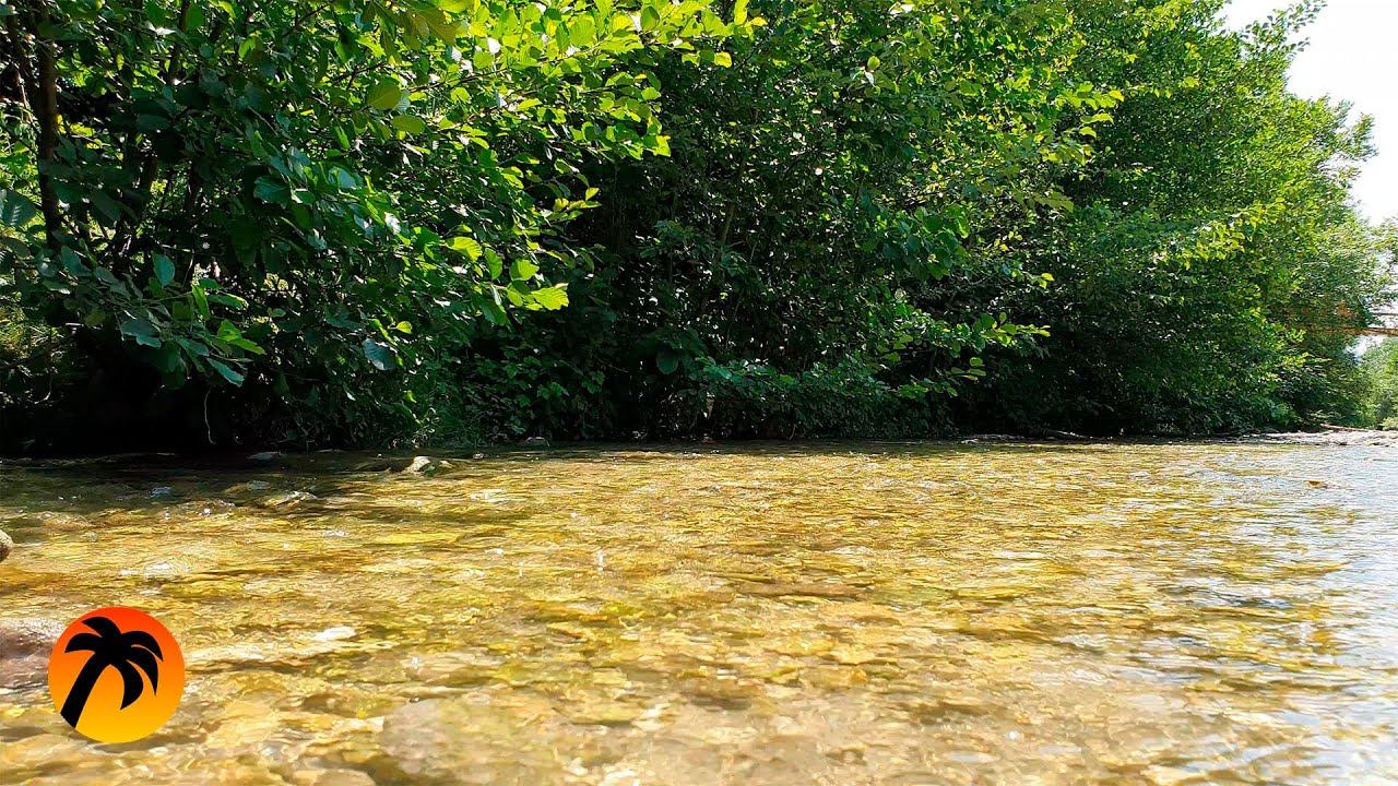 The Gentle Sound of a Mountain River on a Summer Day смотреть онлайн
