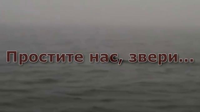 Прости нас, Байкал! смотреть онлайн