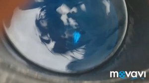 Метиленовая синья очень хороший препарат для профилактики птицы