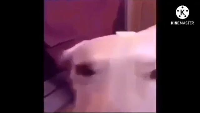 DRUNK SANS IS REAL NANI!!!!!!!!!!!!!!!! (2021 edition) смотреть онлайн