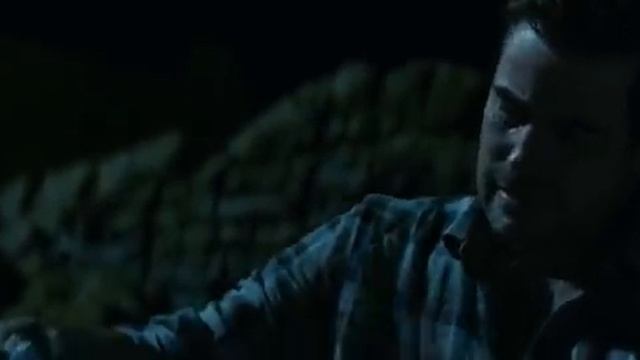 залив тишины 2020