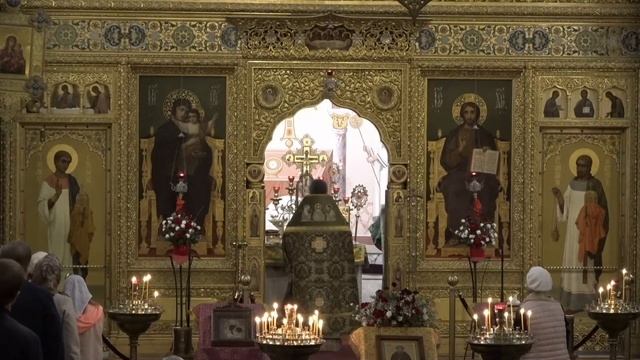 08.10.2022 Литургия. Преставление прп. Сергия, игумена Радонежского, чудотворца смотреть онлайн