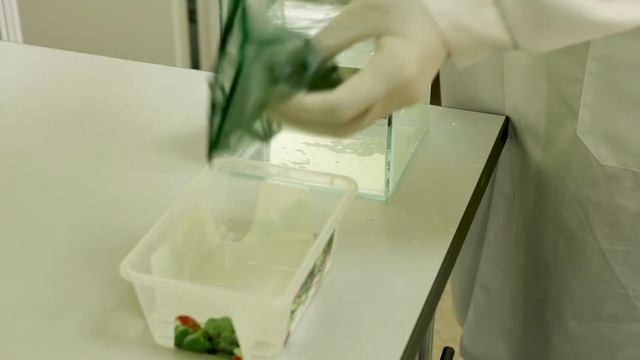 Аквариумные рыбки помогают сибирским учёным в поисках лечения болезни Паркинсона смотреть онлайн