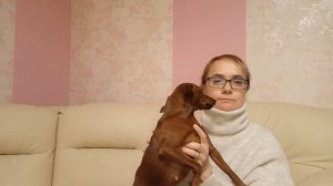 Цвергпинчер в доме. Рассказываю о плюсах и минусах породы. #Цвергпинчер