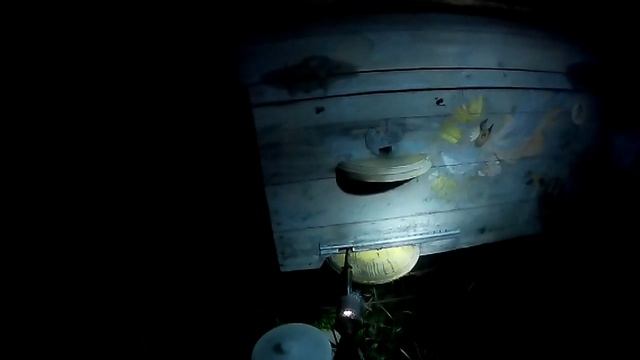 Обработка от клеща Варроа (варроатоз) дымовой пушкой ВАРОМОР смотреть онлайн