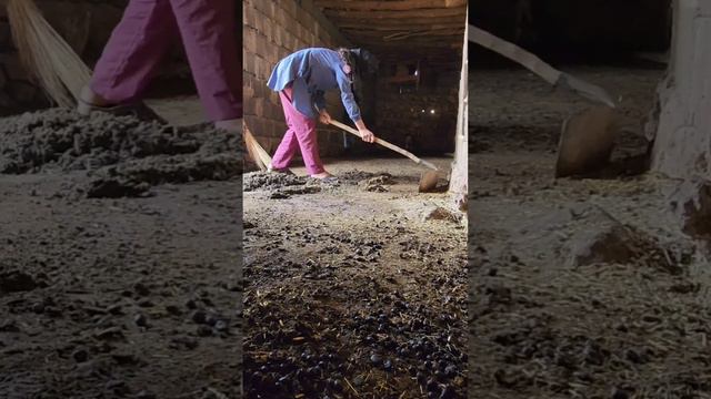 Clean Girl Cleaning The Stables