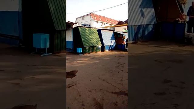 Рынок курганинска Краснодарского края смотреть онлайн