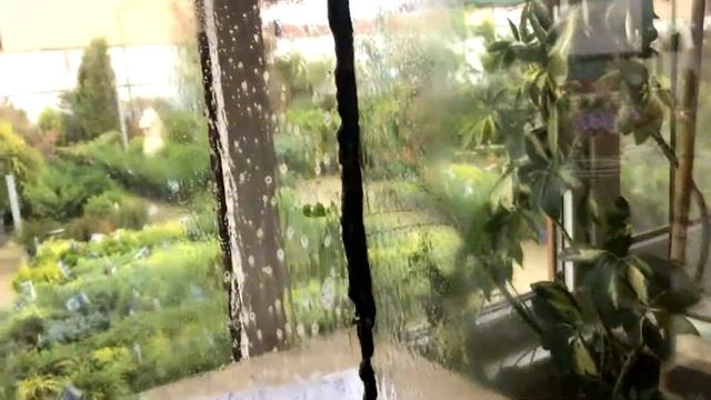 Склейка аквариума для раков смотреть онлайн