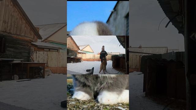 видео знакомство. Узнали ли вы обо мне что то новенькое? смотреть онлайн