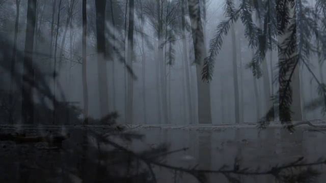 Шум дождя - звуки природы смотреть онлайн