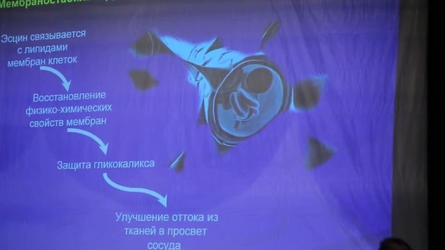 Доброхотовские чтения. 13 октября 2016 г. Махачкала. Т.А. Скоромец смотреть онлайн