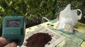 Кофейная гуща как удобрение.Кислотность кофейной гущи онлайн.