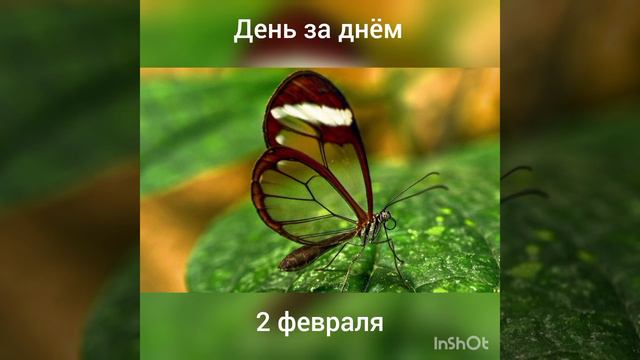 2 января. День за днём смотреть онлайн