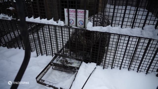 «Привет, вельвет!» Красный таз - обзор курортов Южного Урала. смотреть онлайн
