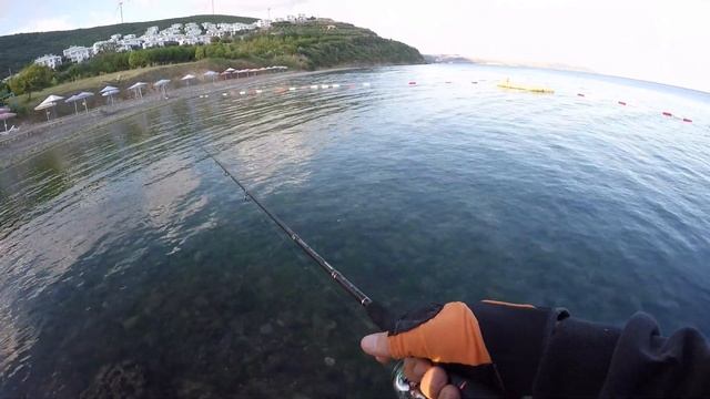 Duo Tetra Works Yurameki смотреть онлайн