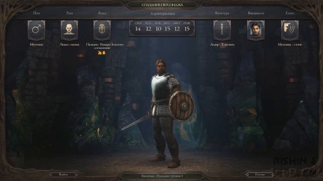 Pillars of Eternity первый взгляд. Меркантильный паладин. Серия 1. смотреть онлайн