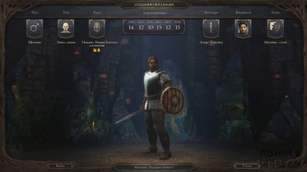 Pillars of Eternity первый взгляд. Меркантильный паладин. Серия 1.