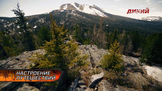 Настроение путешествий смотреть онлайн