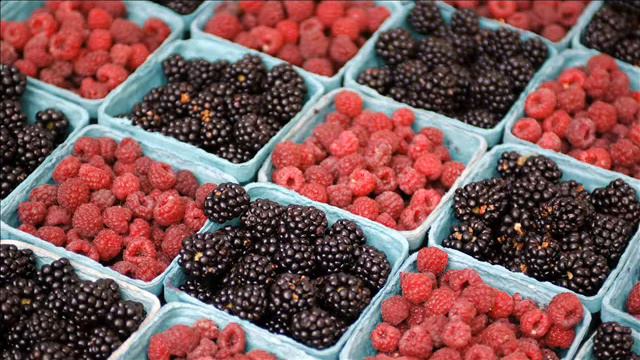 Петя исправляет свою ошибку смотреть онлайн