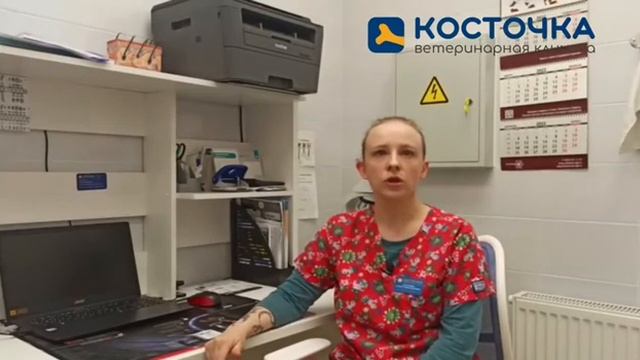 Блохи у собак и кошек смотреть онлайн