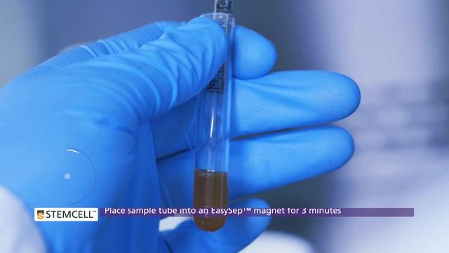 How to Isolate Cells with EasySep™ Column-Free Cell Separation Technology смотреть онлайн