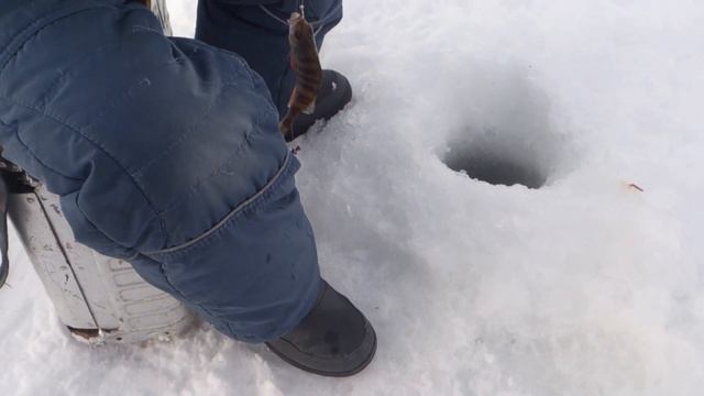 Рыбалка на карьере Пермь смотреть онлайн
