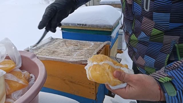 Как спасти пчел зимой? Подкормка пчел зимой медом смотреть онлайн