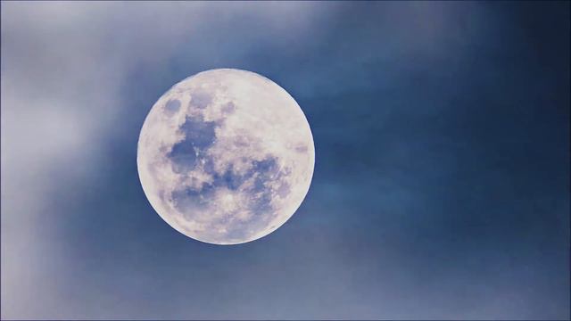 30 Minutes of Wind Sounds | Howling Sounds of Night for Sleeping Relaxing смотреть онлайн