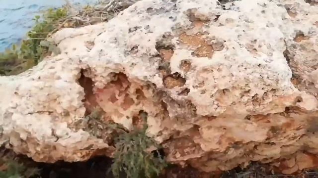 Мальта. На пляже в масках. Прогулка по Golden Bay. смотреть онлайн