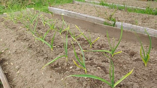 ХОЗБЛОК СВОИМИ РУКАМИ # И ПРОЧИЕ ДЕРЕВЕНСКИЕ ДЕЛА ??