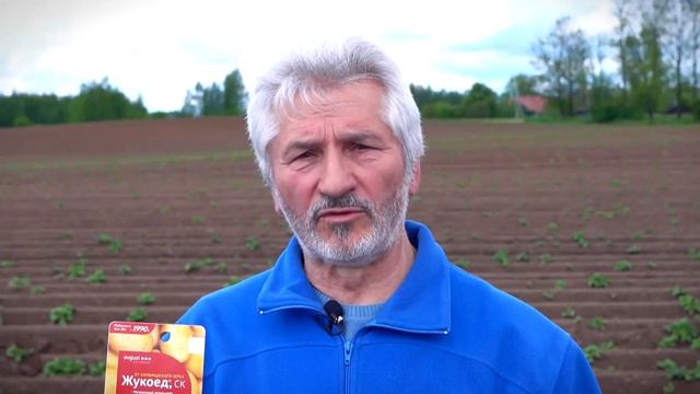 «уДачный гид»: защита картофеля от колорадского жука смотреть онлайн