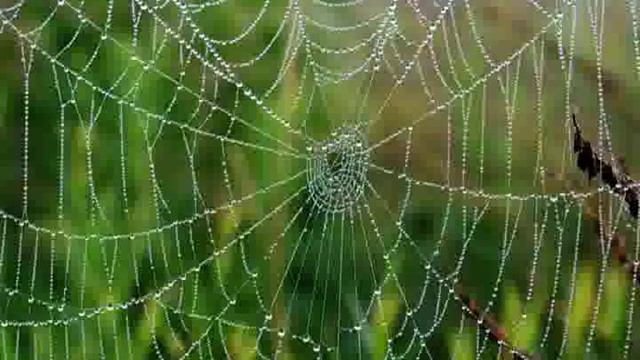 Клип "Золотая осень" смотреть онлайн