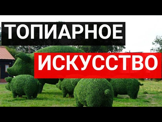 Топиарное искусство в ландшафтном дизайне_ скульптуры из растений. 100+ ИДЕЙ смотреть онлайн