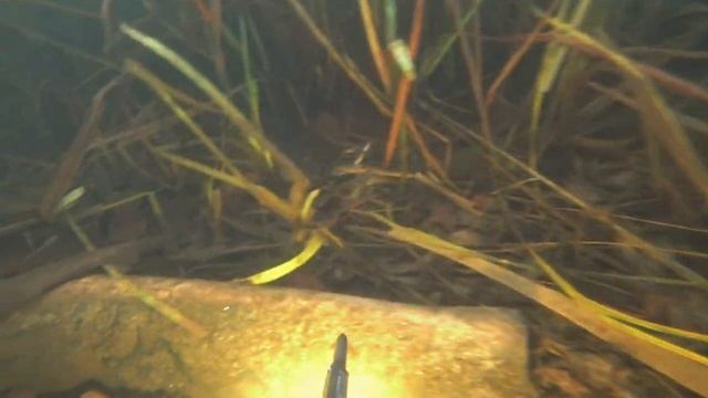 Фидерист на подводной охоте в поиске трофея смотреть онлайн