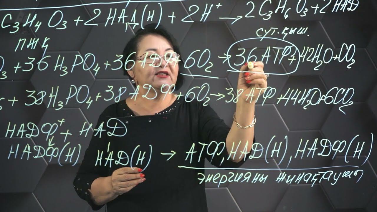 Энергетикалық алмасу кезеңдері. 10 сынып. смотреть онлайн