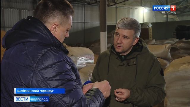 В Шебекинском округе выращивают древние злаковые культуры смотреть онлайн