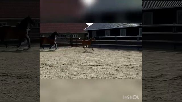 Private Dancer JS смотреть онлайн