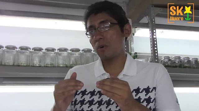 ¿QUÉ ES EL CULTIVO IN VITRO? смотреть онлайн
