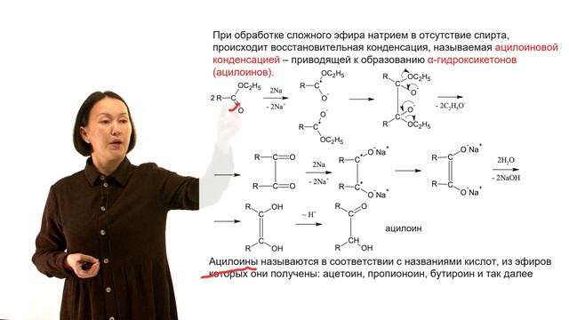 Лекция 10 смотреть онлайн