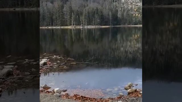 Баварский лес Bayerischer wald смотреть онлайн