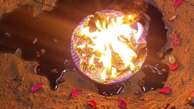 Чистка наших вибраций и пути сердца. Слили огромную крысяку - крадник в итоге!!! смотреть онлайн