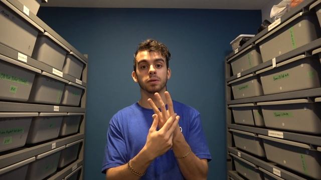 Ball Python genetics Simple Explanation Dominant and Co-Dominant смотреть онлайн