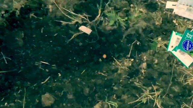 Анапа.Дачная жизнь.