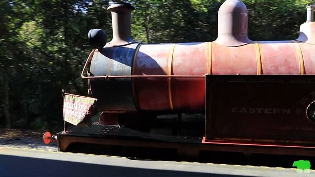 Animal Kingdom Wildlife Express at Walt Disney World смотреть онлайн