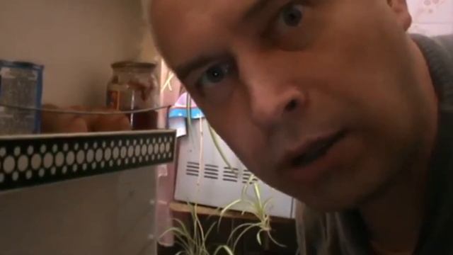 А я не понял , что вы делаете в моем холодильнике ... Rytp? смотреть онлайн