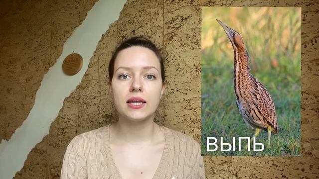 Сказка на ночь #31 | Первая охота смотреть онлайн