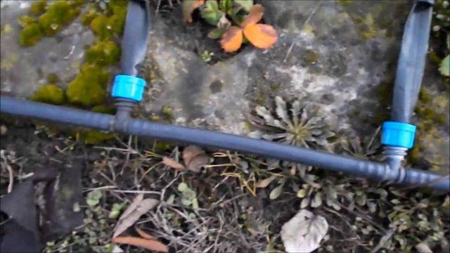 Капельный полив  Просто соединяем