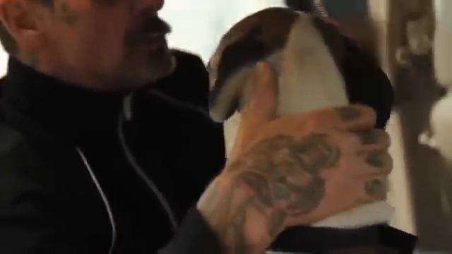 Хозяин усыпляет свою собаку смотреть онлайн