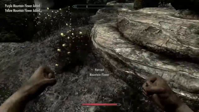 Ultimate Skyrim Guide: Easiest Fortify Restoration Loop Tutorial - Episode III смотреть онлайн
