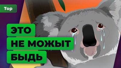 Игровые новости и обзоры